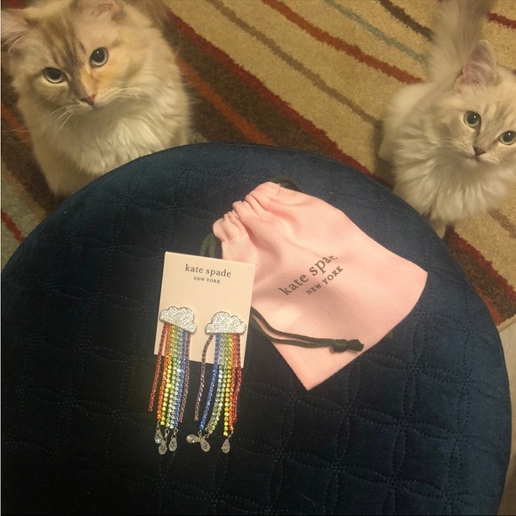 (RARE) Kate Spde Into The Sky Rainbow Fringe Earrings NWT - Picture 4 of 5